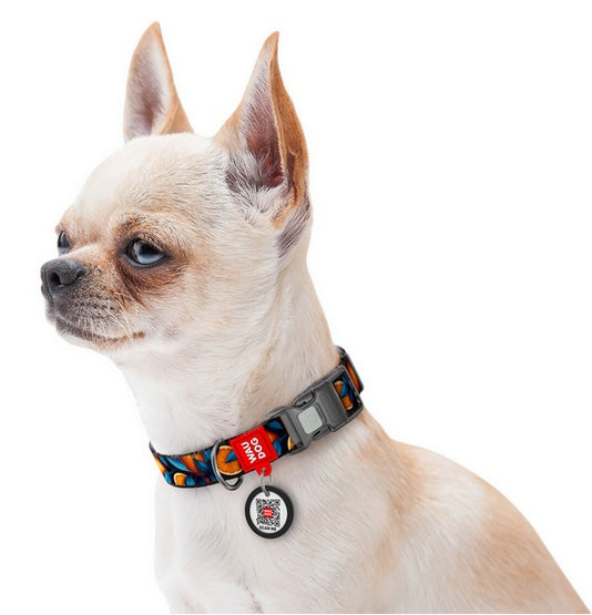 obroża Collar WAUDOG Nylon - QR-paszport i wzór Pomarańcze - Image 3