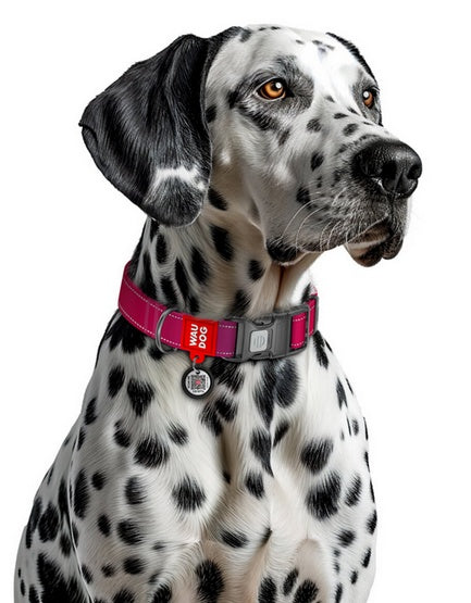 Collar WauDog Nylon Mono Obroża nylonowa odblaskowa z QR-paszportem, plastikowy fastex, S 15mm/25-35cm różowa - Image 3