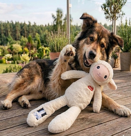 Zolux Zabawka pluszowa Furry Farm Owca Lenny 60cm - Image 3