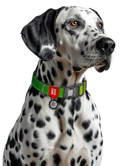 Collar WauDog Nylon Mono Obroża nylonowa odblaskowa z QR-paszportem, plastikowy fastex, M 20mm/28-40cm jasnozielona - Image 3