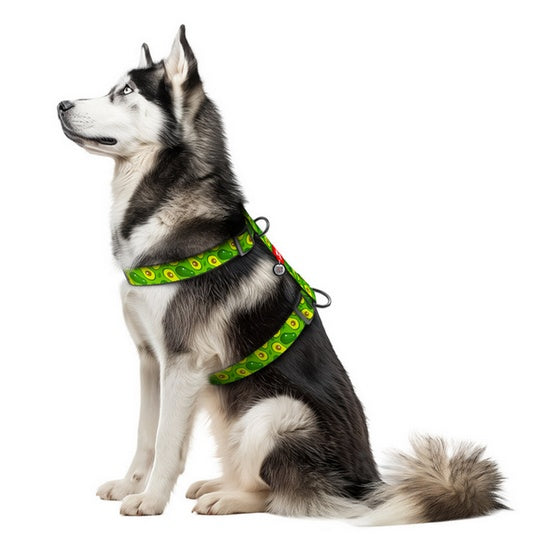 Collar WauDog Nylon Szelki nylonowe anatomiczne w kształcie litery H, z QR-paszportem, plastikowy fastex, wzór AWOKADO, rozmiar XL 35mm - Image 3