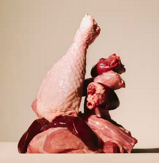 Carnilove Dog Turkey & Duck - indyk i kaczka saszetka 300g - Image 3