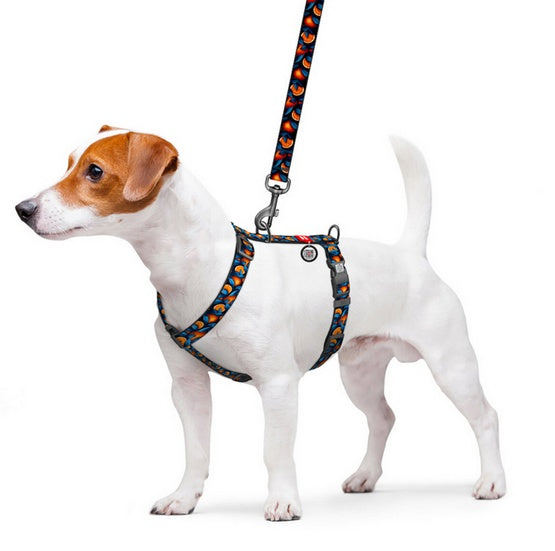 Collar WauDog Nylon Szelki nylonowe anatomiczne w kształcie litery H, z QR-paszportem, plastikowy fastex, wzór POMARAŃCZE, rozmiar S 15mm - Image 3