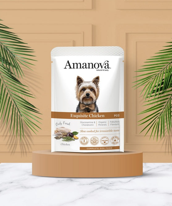 Amanova Dog Adult Exquisite Chicken - 65% świeżego kurczaka w saszetce - Image 3