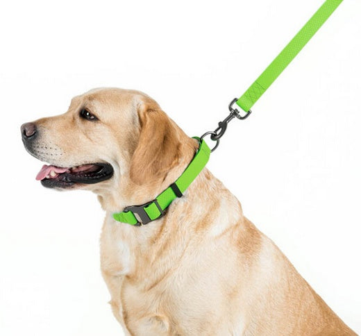 Collar Waterproof Smycz wodoodporna L-XXL 25mm/183cm jasnozielona - Image 3