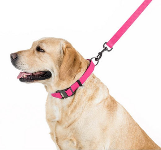 Collar Waterproof Smycz wodoodporna S 15mm/183cm różowa - Image 3