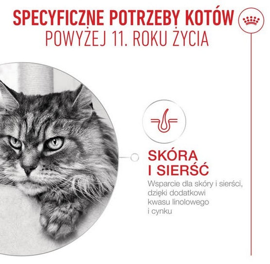 Royal Canin Ageing +11 karma mokra dla kotów dojrzałych w galaretce saszetka 85g - Image 3