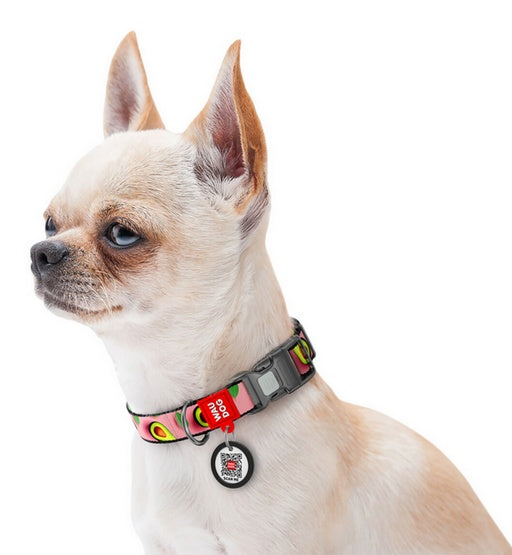 Collar WauDog Nylon Obroża nylonowa z QR-paszportem, plastikowy fastex, wzór AWOKADO NA RÓŻU, M 20mm/28-40cm - Image 3