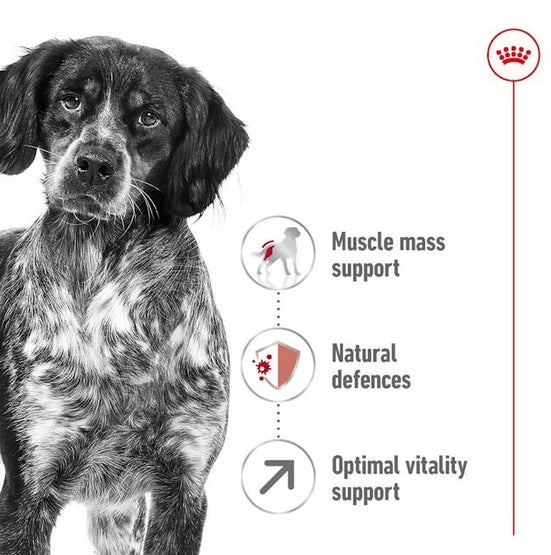royal canin medium adult 7+ - wsparcie witalności dojrzałych psów - worek 15 kg - Image 3