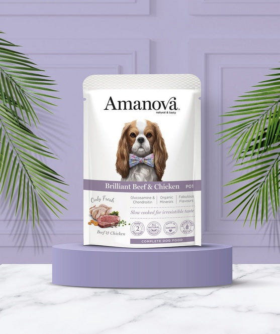 Amanova Dog Adult Brilliant Beef & Chicken - świeże mięso wołowe i kurczak w saszetce 300 g - Image 3
