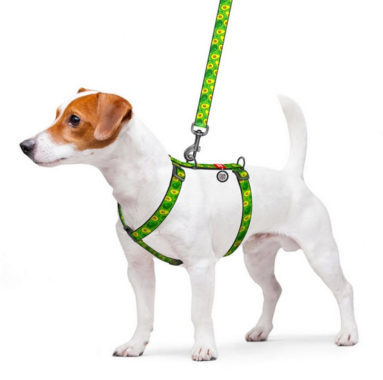 Collar WauDog Nylon Szelki nylonowe anatomiczne w kształcie litery H, z QR-paszportem, plastikowy fastex, wzór AWOKADO, rozmiar L 25mm - Image 3