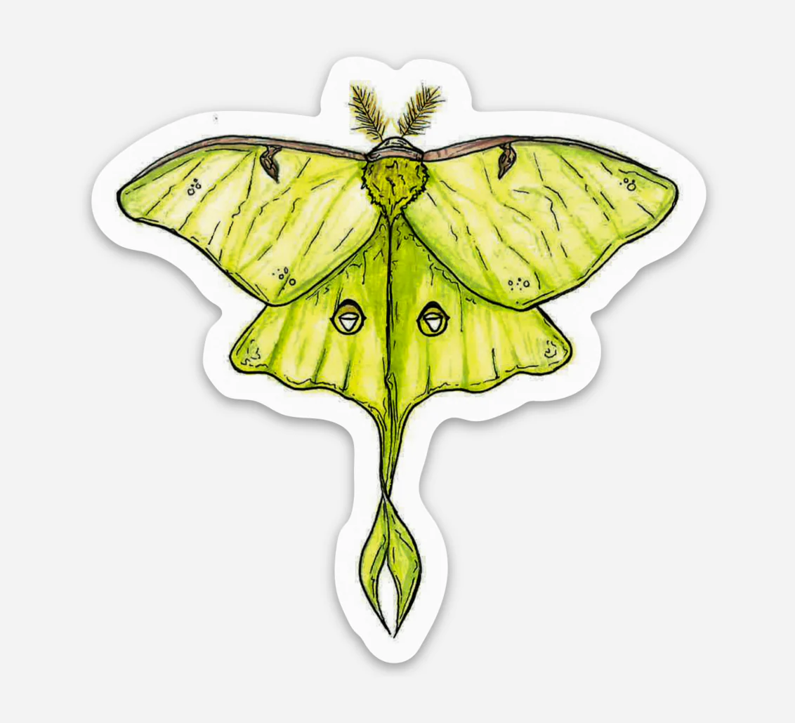 Luna Moth Sticker - Image 1