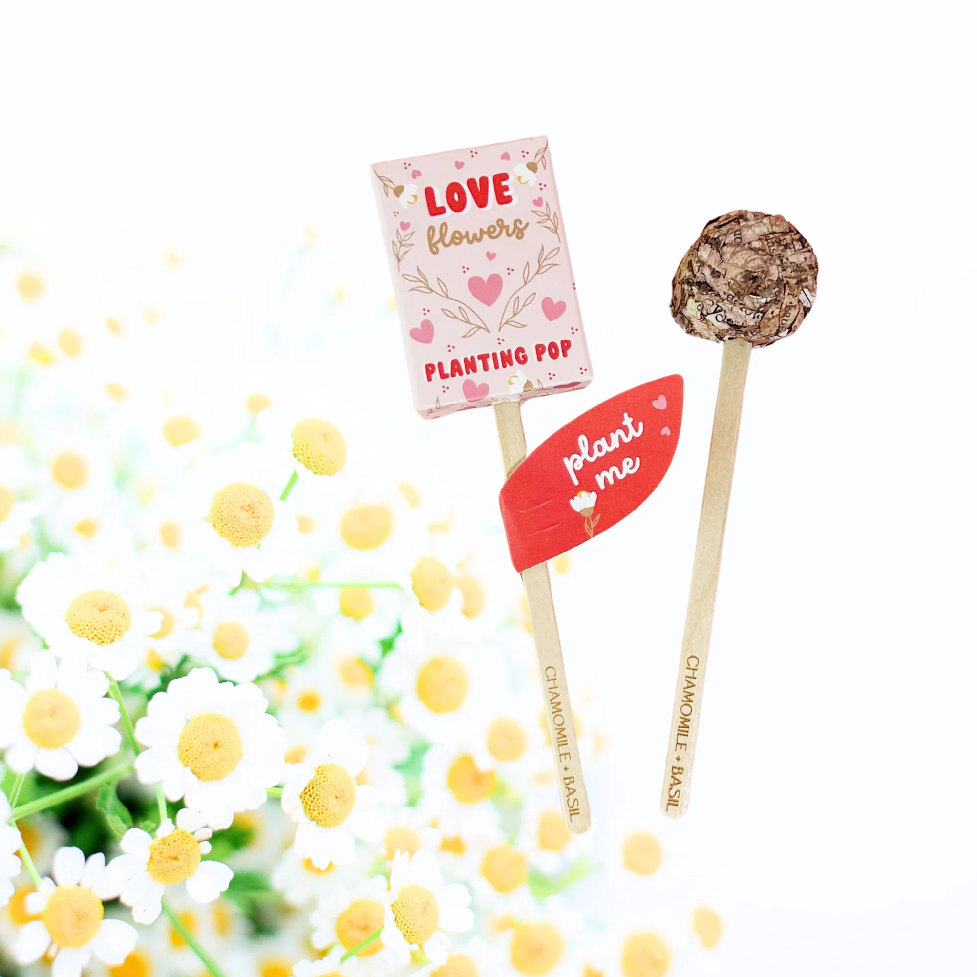 Love Flowers Garden + Gift Seed Planting Pop - Image 2