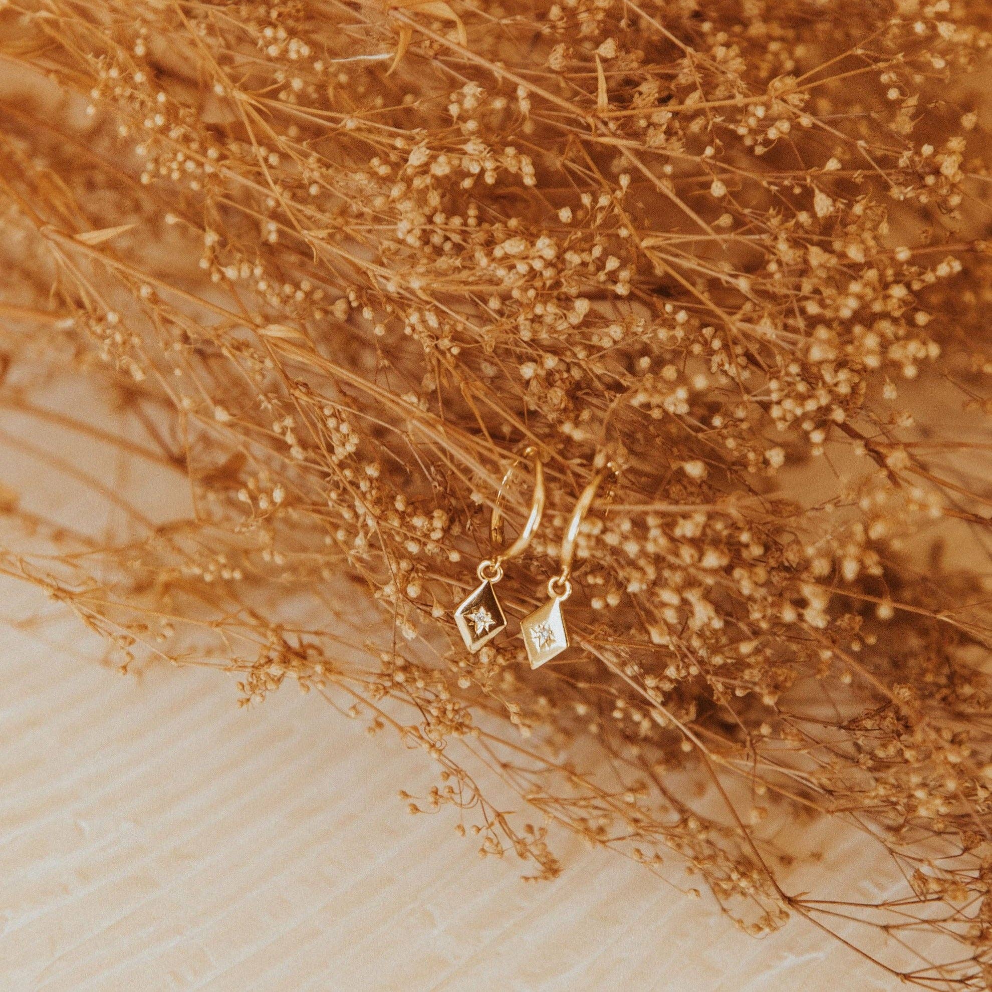 Nova Hoops - Image 1