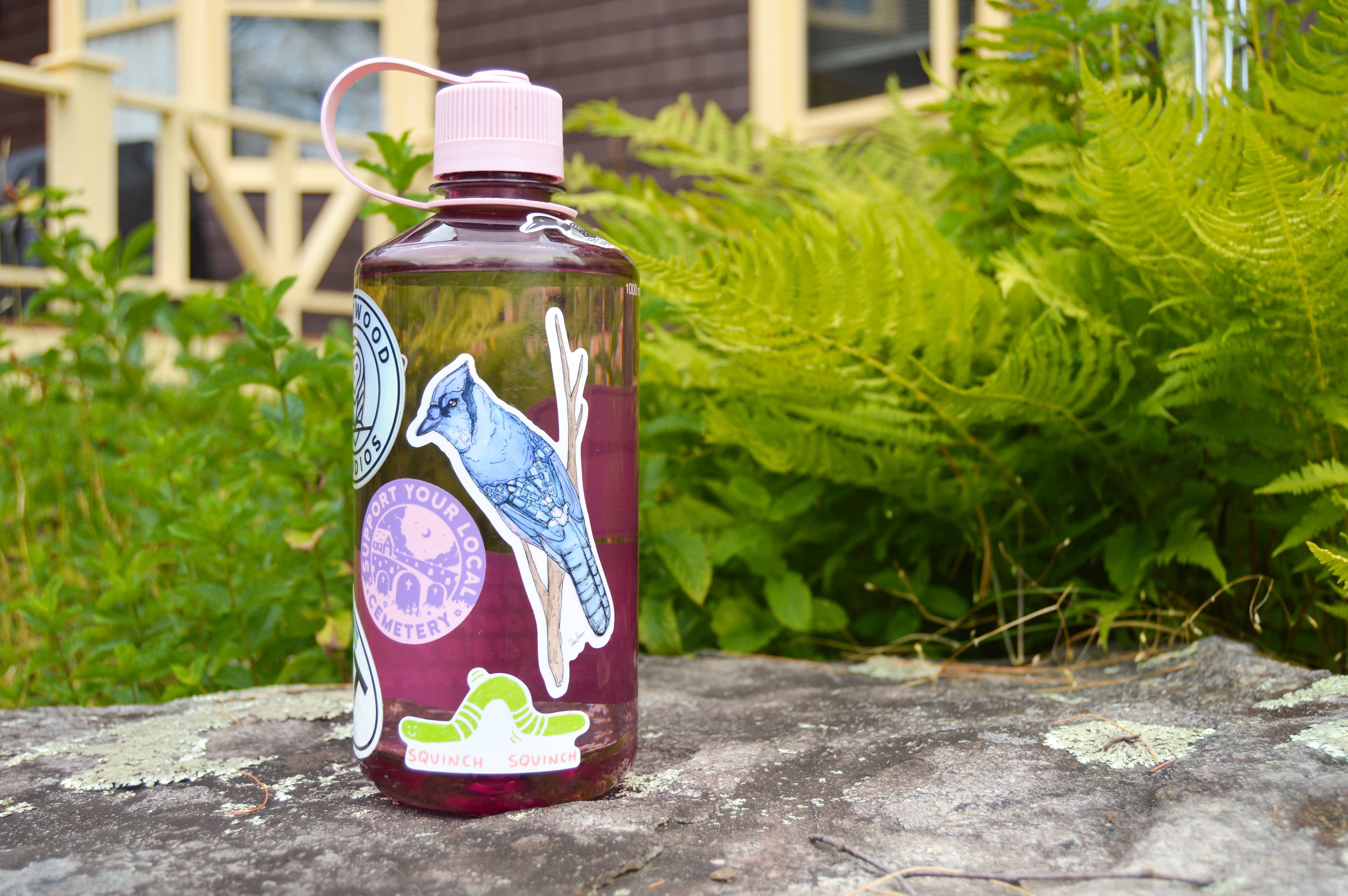 Blue Jay Sticker - Image 3
