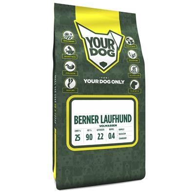 Yourdog Berner Laufhund Adult - Image 2