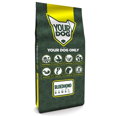 Yourdog Bloedhond Pup - Image 1