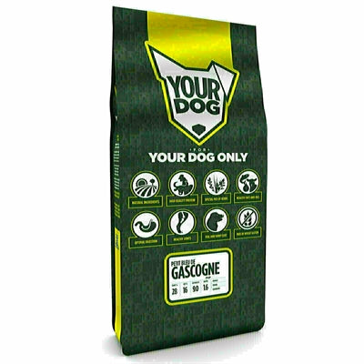 Yourdog Petit Bleu De Gascogne Pup - Image 1