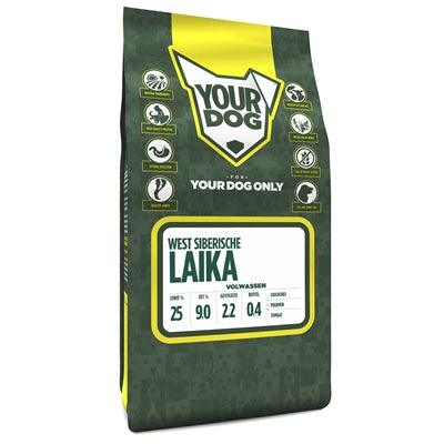 Yourdog West Siberian Laika Adult - Image 2