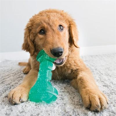 Kong Squeezz Dental Stick Mint Green - Chew toy to fill with snacks - Image 2