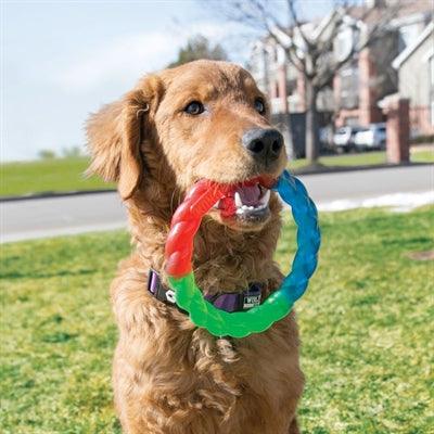 Kong Twistz Ring - Durable and versatile dog toy - Image 2