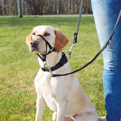 Trixie Dog Harness Top Trainer Anti-Pull Harness Black - XS to L - Image 1