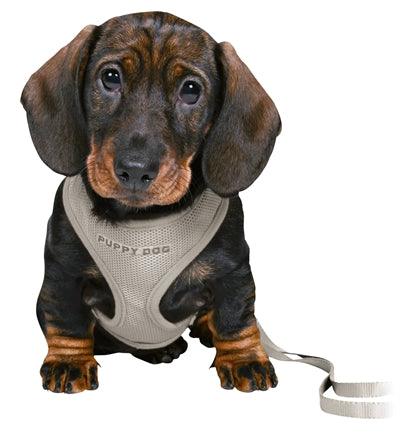 Trixie Junior Puppy Harness with Leash Light Gray - Harness + leash combination for puppies XS to S - Image 2
