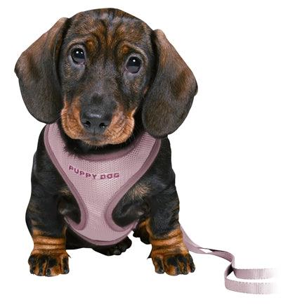 Trixie Junior Puppy Harness With Leash Lila - Harness + leash combination XS to S - Image 2