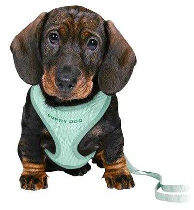 Trixie Junior Puppy Harness with Leash Mint - Harness + leash combination for puppies XS to S - Image 2