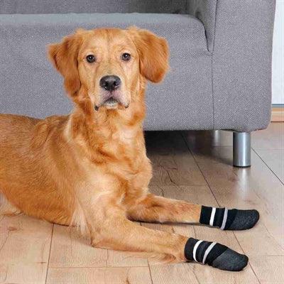 Trixie Dog Socks Anti-Slip with Rubber Layer All Around Black - Image 2