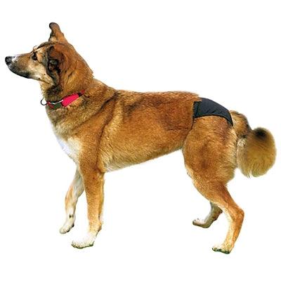 Trixie Heat Pants Black - Image 2