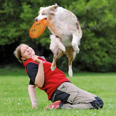 Trixie Dog Disc Plastic, Suitable for Competitions, Assorted – Available individually or in packs of 3.