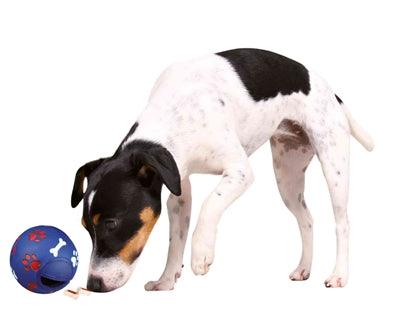 Trixie Snack Ball Plastic Blue - Can be filled with snacks - Size L - Image 2