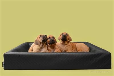 Bia bed dog basket square black – orthopedic dog bed - for optimal support - Image 2