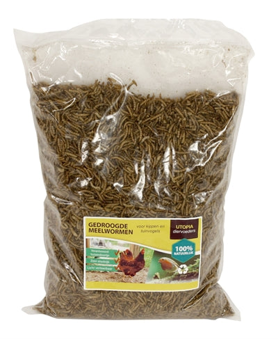 Utopia Mealworms for Chickens and Garden Birds