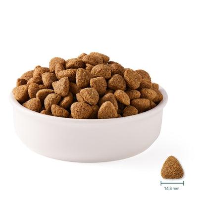 Yarrah Dog Organic Dry Food Vegan - Baobab & Coconut Oil - Vegetarian dog food - 10 kg - Image 3