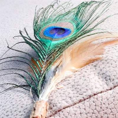 Croci Euphoria Cat Toy, Matatabi Peacock Feather - Image 2