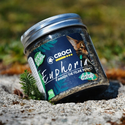 Croci Euphoria Catnip Pot - Image 2