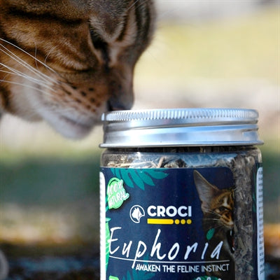 Croci Euphoria Catnip Pot - Image 3
