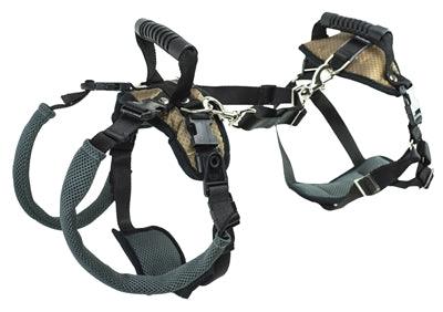 PetSafe CareLift Front and Rear Harness - Support for Dogs with Mobility Issues - Image 3