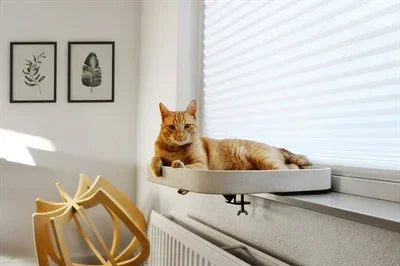 Ebi Window Sill Basket Kyo White - Image 2