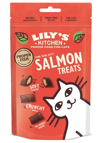 Lily’s Kitchen Salmon Treats