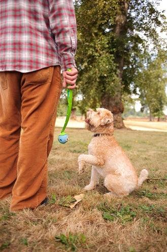 Chuckit The Whistler - Fun ball with a whistling sound - Image 3