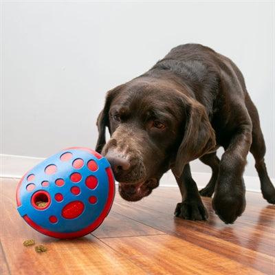 Kong Rewards Wally Blue/Red - dog food dispenser - Image 3