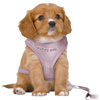 Trixie junior puppy Soft harness with leash lilac – XS to S