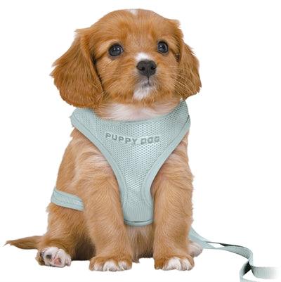 Trixie Junior Puppy Soft Harness with Leash Mint Green – XS to S - Image 1