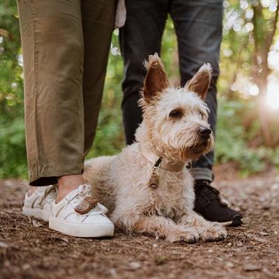 Tickless Eco Tick and Flea Repellent for People Brown - Image 3