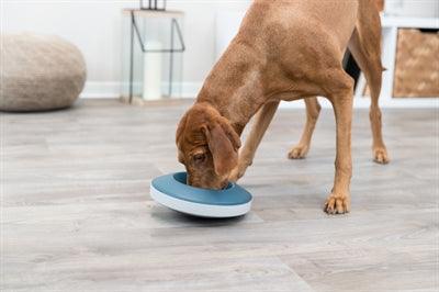 Trixie Slow Feeding Rocking Bowl, Plastic/TPR, Grey/Blue - Image 3