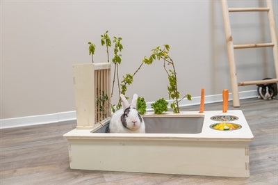 Trixie Feeding Station with Food Bowl / Water Bowl / Hay Rack, Natural Wood - Image 3
