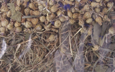 Excellent Herb Hay, Cornflower and Birch Leaf - Image 2